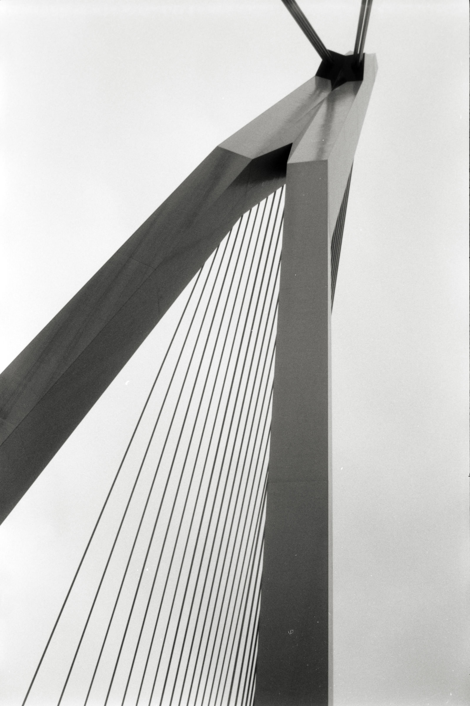 AHP F1998 05 001 sc240818 img27 NLP